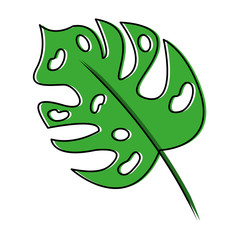 tropical leaf green season eco nature vector illustration