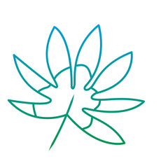 tropical leaf season eco nature vector illustration green color line image