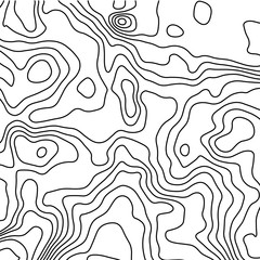 Geometric topography pattern. Landscape terrain. Vector illustration. - 191616023