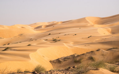 Fototapeta na wymiar Desert Mauritanie