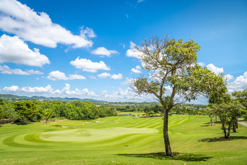 Green grass and trees at golf course with blue cloud sky background 