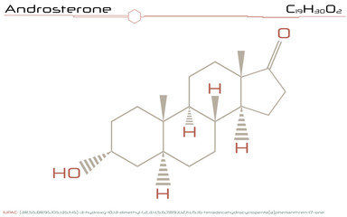 Large and detailed infographic of the molecule of Androsterone