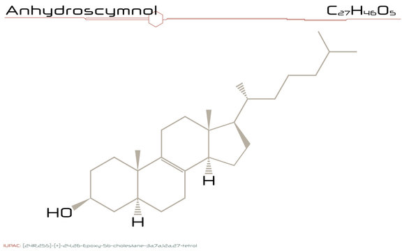 Large and detailed infographic of the molecule of Anhydroscymnol