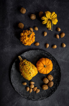 Pumpkin and nut on black background