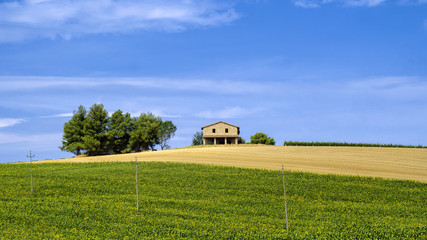 Landscape in Umbria at summer
