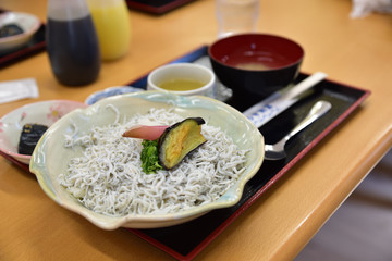 日本の四国の高知県のしらす丼