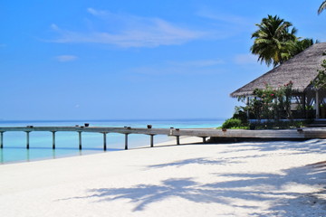 Beautiful island with pristine coral reef, white sand beaches and coconut tree in Maldive island. Maldives paradise beach scene in summer time.