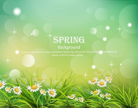 Hello spring background with chamomile flowers Vector