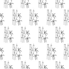 bamboo seamless vector pattern