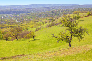 Fototapeta na wymiar green hills in the spring