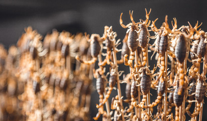 Skorpione am Spieß - Peking, China.