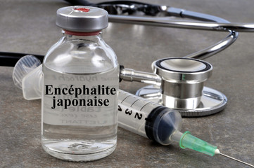 Vaccin contre l'encéphalite japonaise 