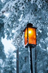 wooden desk top and snow and lamp