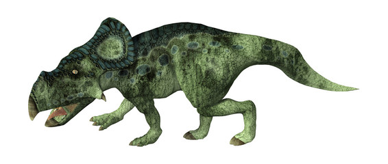 3D Rendering Dinosaur Protoceratops on White