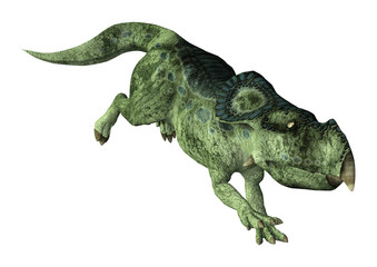 Obraz na płótnie Canvas 3D Rendering Dinosaur Protoceratops on White