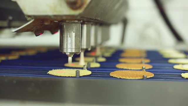 biscuits on the conveyor confectionery