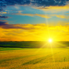 Wheat field and a delightful sunrise.