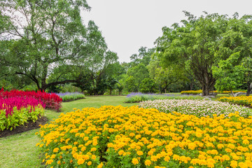 Park with trees and grass