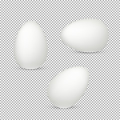 Easter eggs vector design