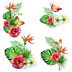 beautiful red flowers ,palm leaves,set, watercolor on a white
