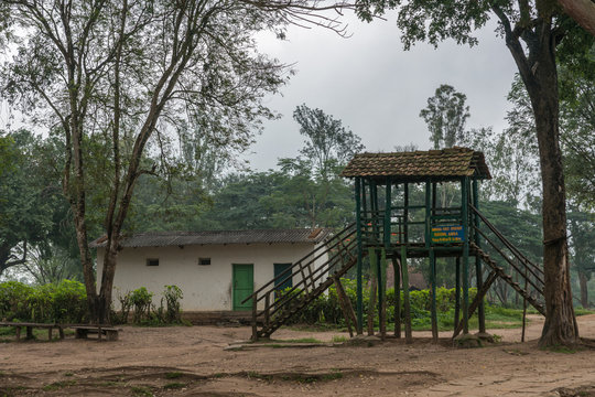 Fototapeta Coorg, India - October 29, 2013: Dubare Elephant Camp. Unsteady old dark wooden step-up platform to ride elephant. Green jungle environment under gray sky. Brown dirt up front.