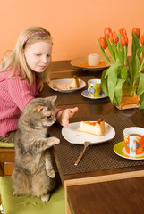 Mädchen verbietet einer Katze Kuchen vom Tisch zu fressen
