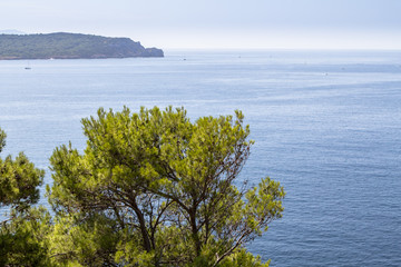 Summer landscape with green bushes on Sardinia Island