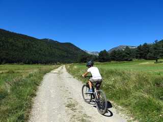 Fototapeta premium Vélo tout terrain dans la verdure sur chemin
