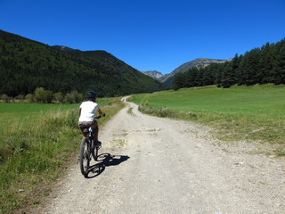 Naklejka premium Vélo tout terrain dans la verdure sur chemin