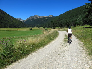 Vélo tout terrain dans la verdure sur chemin