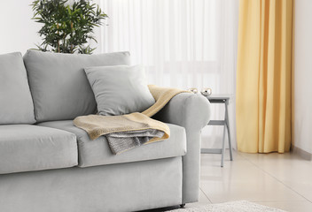 Living room interior with comfortable couch