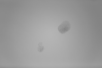 Starlings in Aiguamolls de l'Empordà Nature Park, Girona, Spain