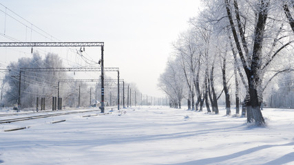 The shadows from trees are falling on snow. Frosty winter morning