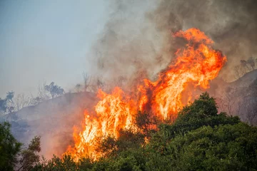 Keuken spatwand met foto fire in a pine forest in Kassandra, Chalkidiki, Greece © ververidis