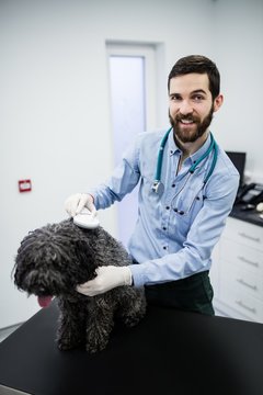 Portrait of vet examining dog
