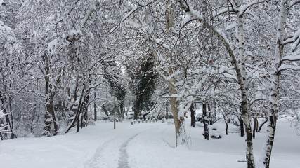 Winter in the Park. Sofia, Bulgaria