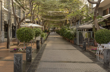 Shaded with with trees