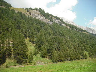 alpi
