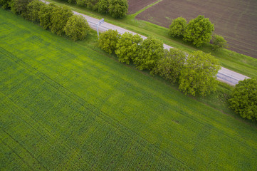 Dron View on Field and Road