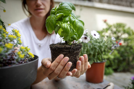 Mujer Joven Trabajando En Jardinería