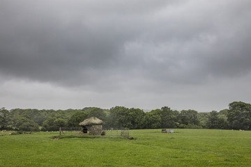 Obraz premium Steinzeitliches Hünengrab