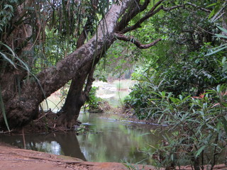 l'ile de kuruvadweep
