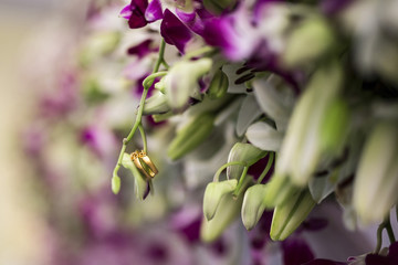 Obraz premium Two engagement rings or bands hanging from flowers buds