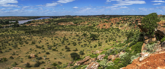 Panoramic view in Mapungubwe National park, South Africa