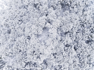 Fototapeta na wymiar Aerial view: forest in winter