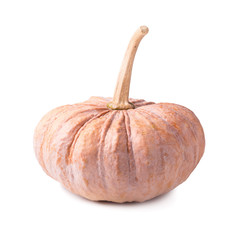 Orange vegetable for pumpkin soup and other squash products isolated on white background