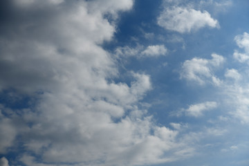 Fototapeta na wymiar 青空と雲「空想・雲のモンスターたち」散漫な、集まりが悪い、ばらばら、ちらほらなどのイメージなど