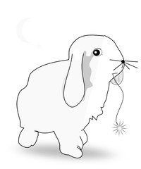 Conejo belier blanco comiendo flor silvestre.