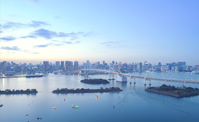 Obraz premium Tokyo city skyline at dusk.