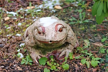 Steinfrosch im Garten